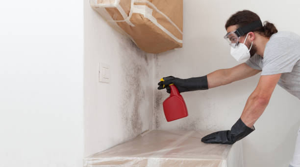Professional Mold Remediation technician working in Saddle River, NJ