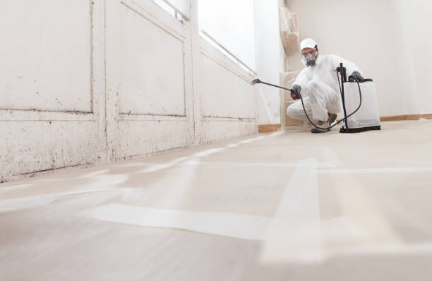 24/7 Emergency Mold Remediation experts in Saddle River, NJ